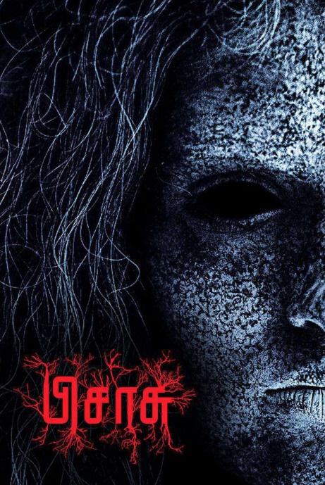 Pisaasu